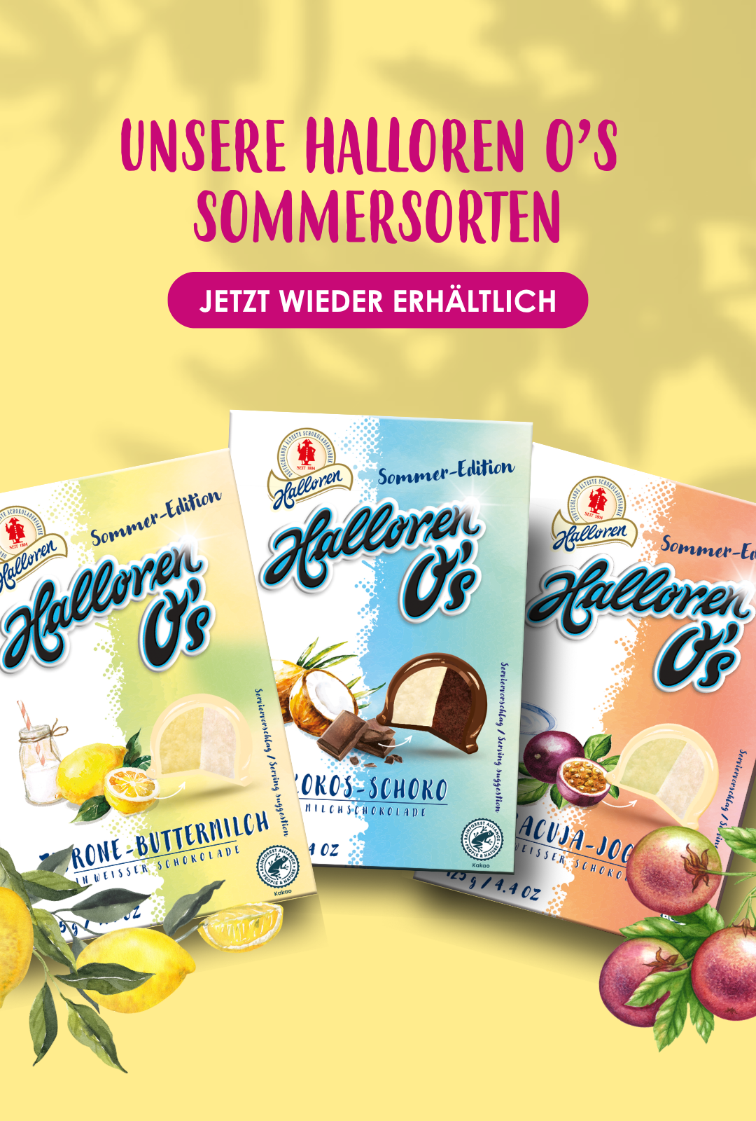 Schokoladenriegel, Halloren, Sommeredition, Frucht-Geschmack, Packungskartons